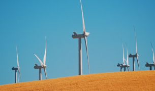 https://wamarra.com.au/wp-content/uploads/2020/01/Rectangle-86.png